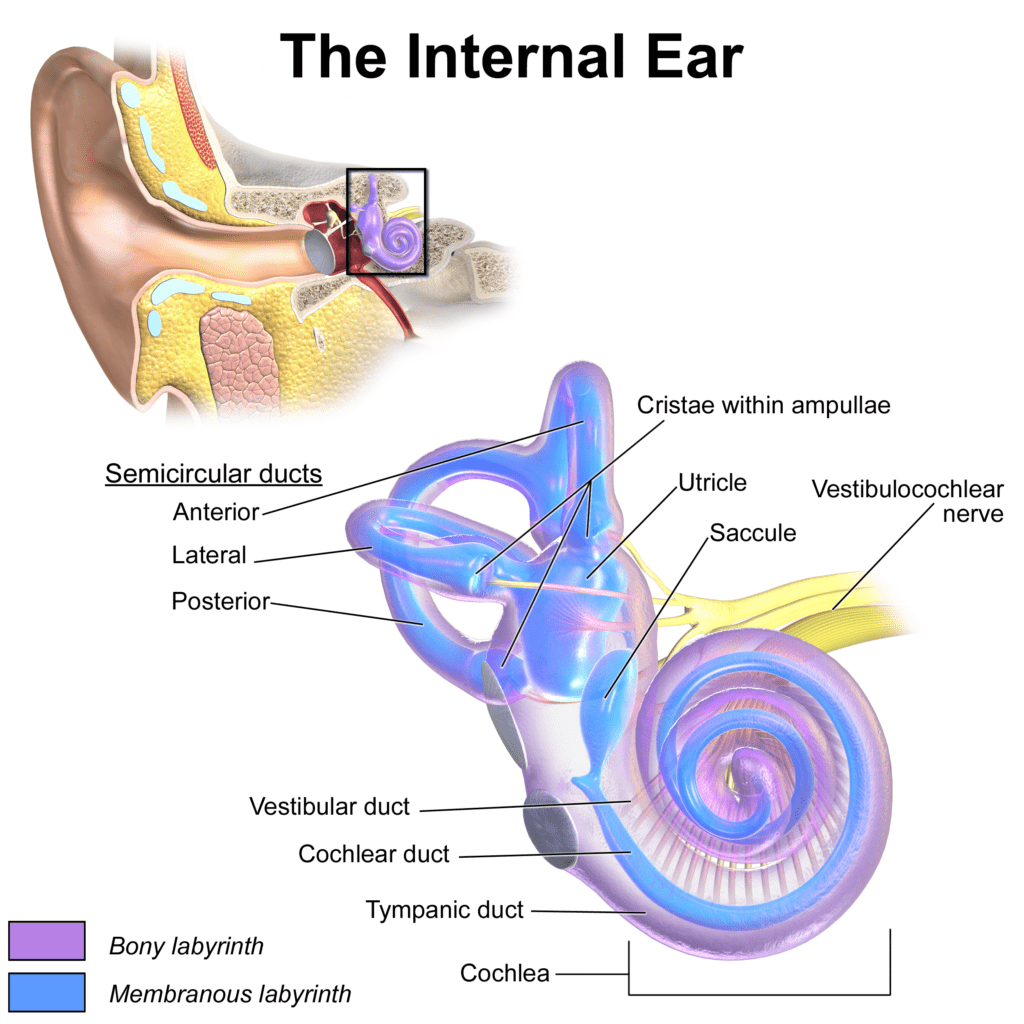 age hearing loss 4